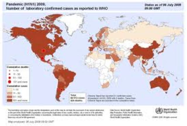 Swine Flu H1N1 Epidemic