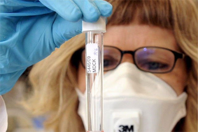 Entra el virus del H1N1 al país