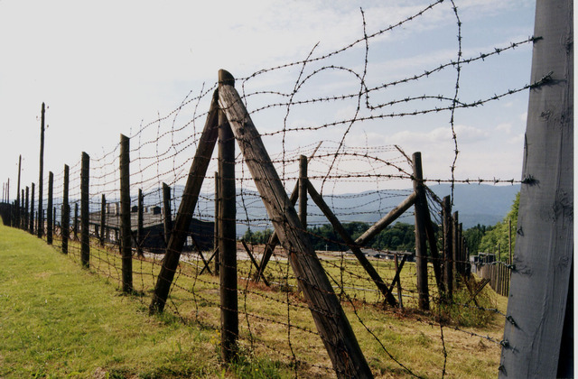 Barbed Wire
