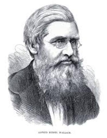 A.R. Wallace - Works (2)