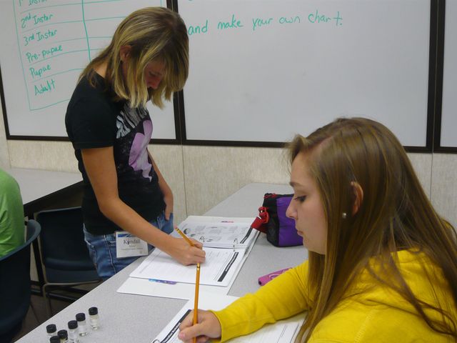 Summer Challenge CSI