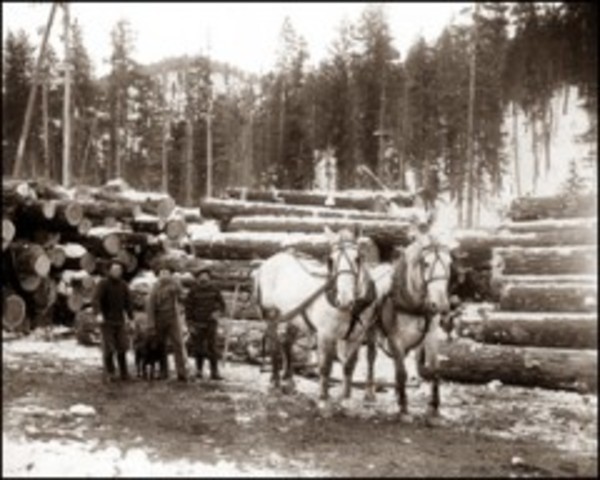 Timber and Stone Act