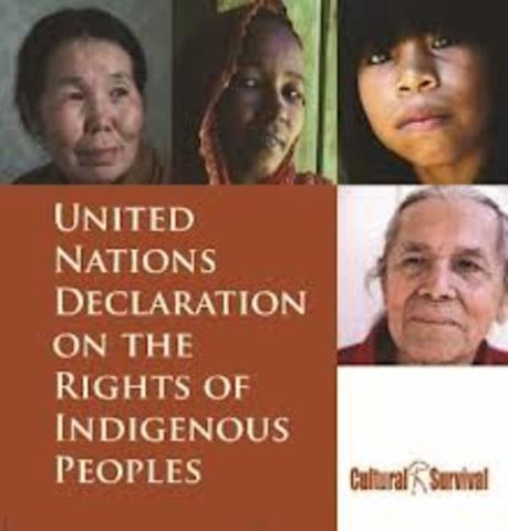 W.E: UN Declaration on the Rights of Indigenous Peoples