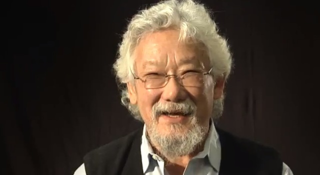 EWR Steacie Memorial Fellowship