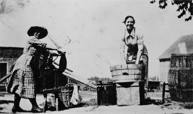 Urban Industrial families