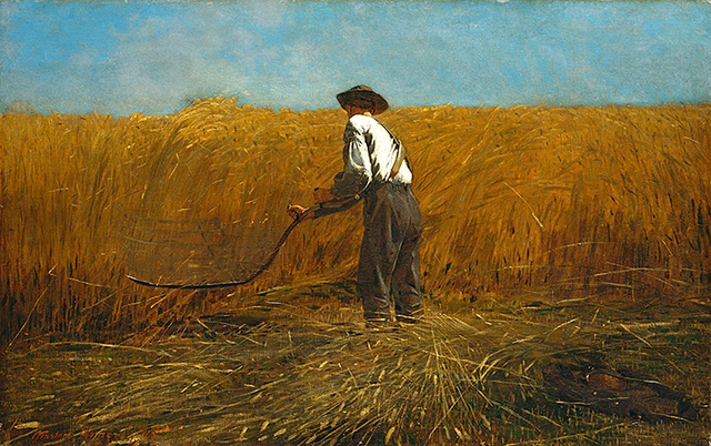 The Veteran in a New Field