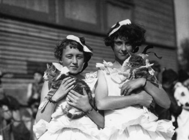 Veterinarian Restrictions