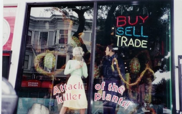 Best Window Displays Best of the Bay Bay Guardian 1998