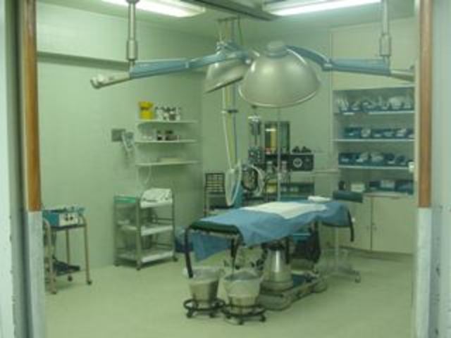 prácticas quirurgicas.