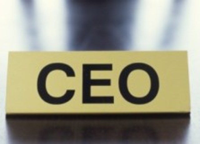 Adulthood: Cognitive- Expert in my feild, as a head manager of a resort