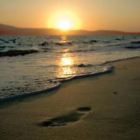 The Tide Rises, The Tide Falls