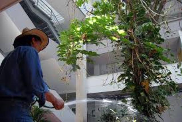 PROYECTO EN PALMIRA DE INGENIERIA AMBIENTAL