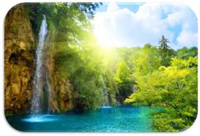 Carta Mundial de la Naturaleza