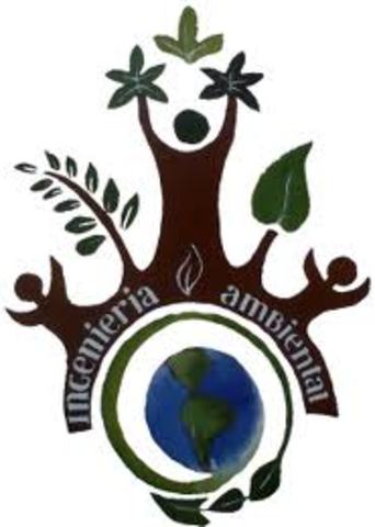 se creo reglamento ambiental