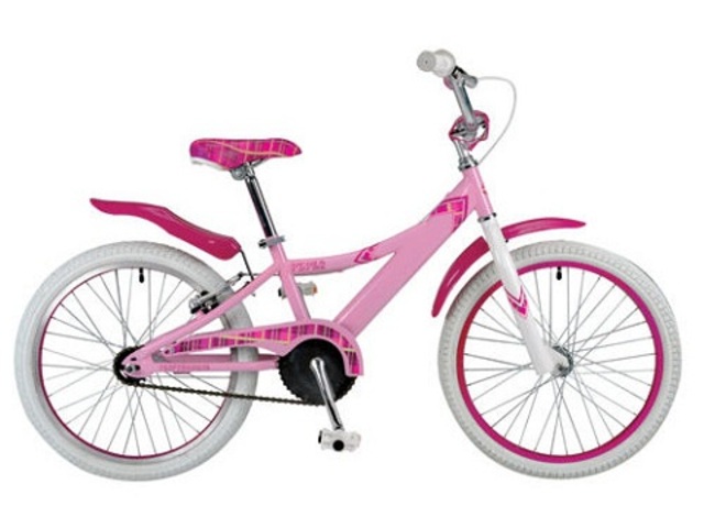 Early Childhood: Biosocial- Rides pink bike without training wheels, thanks to dad