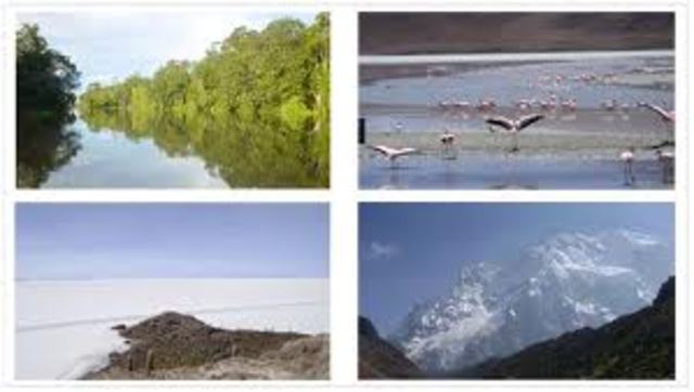 Aplicación del Derecho comunitario de medio ambiente