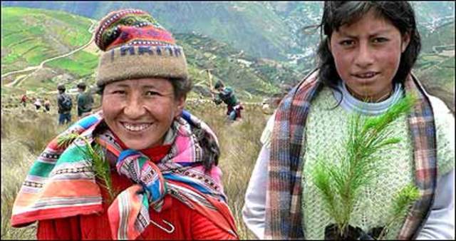 Árboles para salvar el planeta.