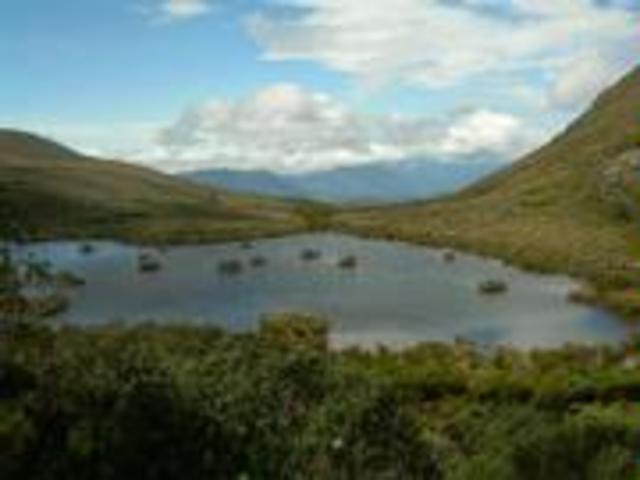 Hacia una cultura ecológica y ambiental