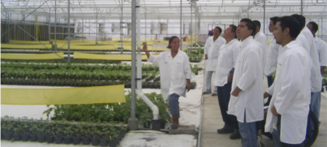 especializaciones universitarias