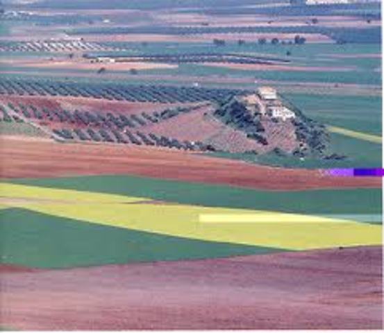 Una aproximación a su análisis y evaluación ambiental en la sequía en Andalucía