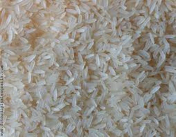 CÁSCARA DE ARROZ PARA LEVANTAR CASAS