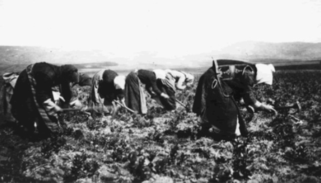 The Spanish arried in Australia