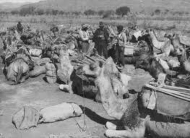 Afghans (Camaleers) Immigration to Australia