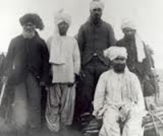 Camaleers (Afgans) Immigrants