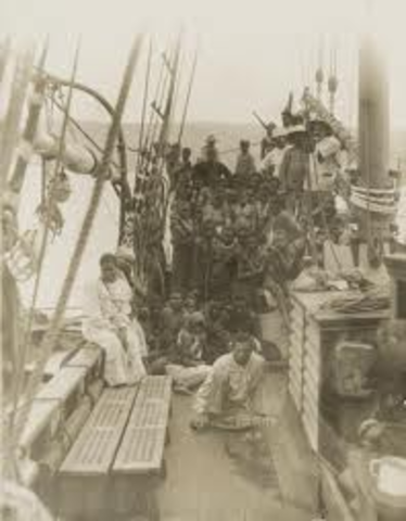 Pacific Islanders Arrived