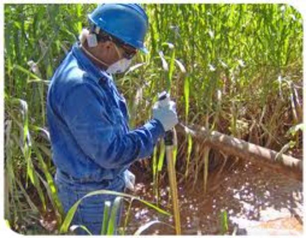 SE UTILIZA EL RTERMINO EDUCACION AMBIENTAL