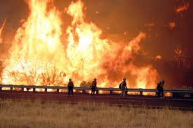 Willow Fire (Gila County)