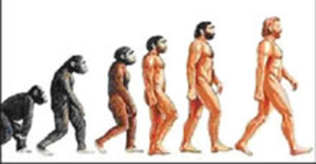 Hace 6.000.000 de años