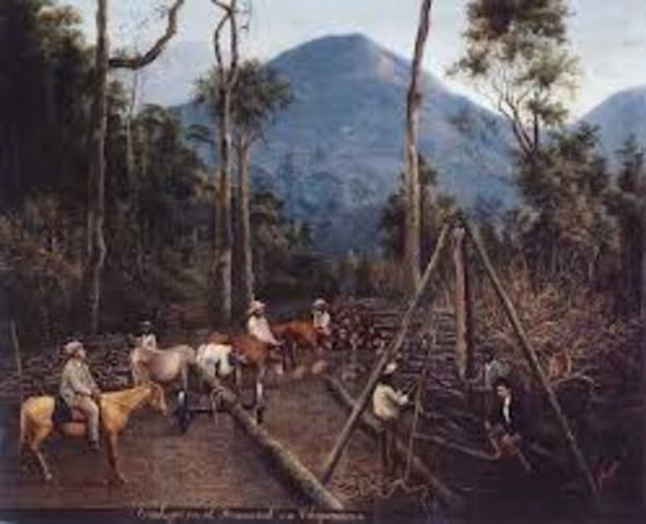 Los radicales de Santander se levantaron contra el gobierno de Rafael Núñez, en busca de participación política. Para defenderse, el presidente se unió a los conservadores y formó el Partido Nacional (que sería la base de la Regeneración).