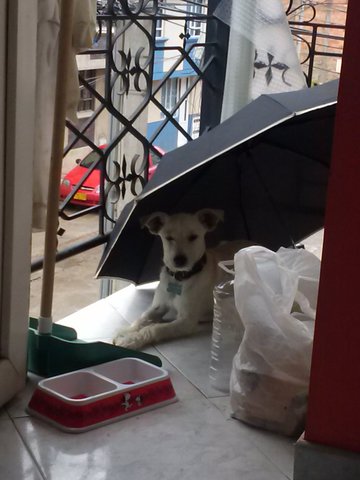 alguien importantenen mi vida