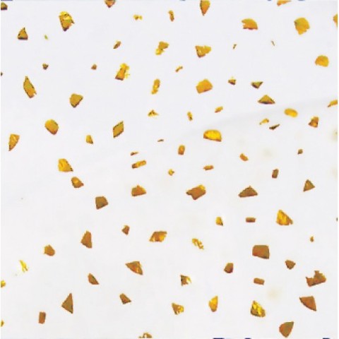 James McBrien discovers traces of gold.