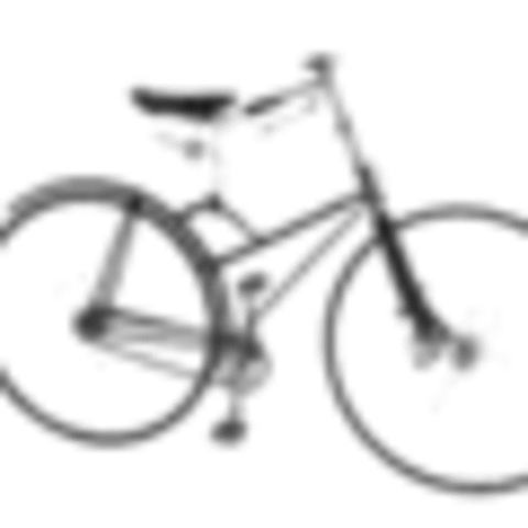 Hard Tired Saftey Bike