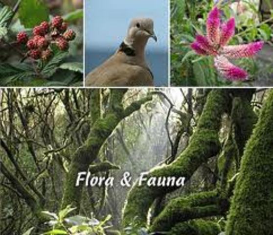 HISTORIA DE EL MEDIO AMBIENTE