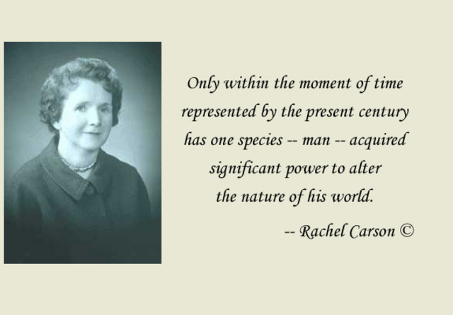 Se publica "Primavera Silenciosa" de Rachel Carson