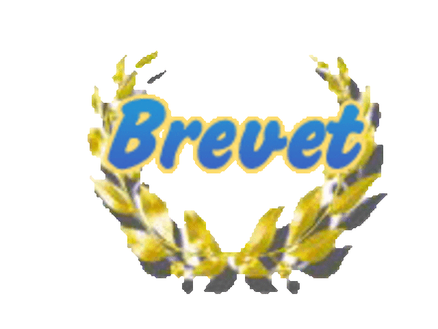 Brevet des collèges, mention Très Bien