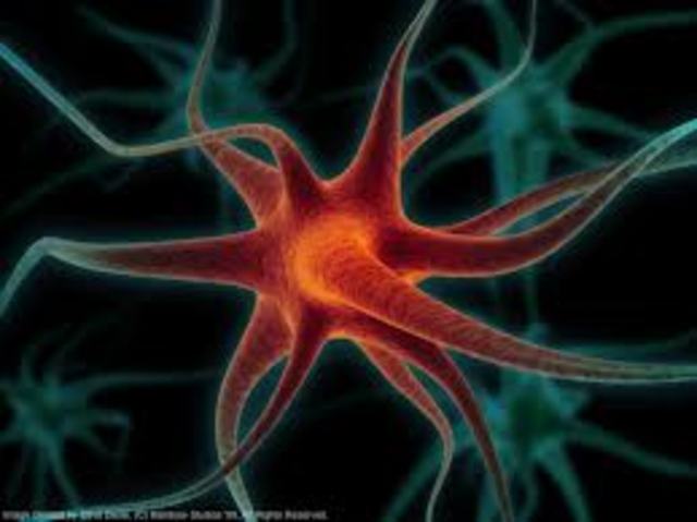 Teoria de la Neurona