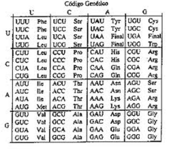 Codigo genetico