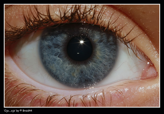 Primera cirugía de trasplante en seres humanos