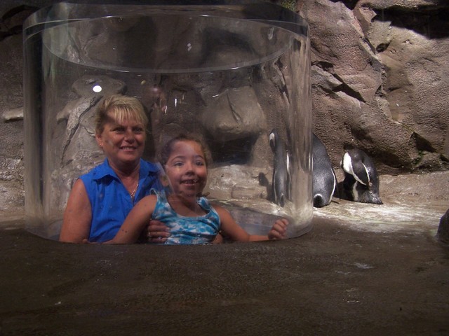 Away from home for 2 weeks!