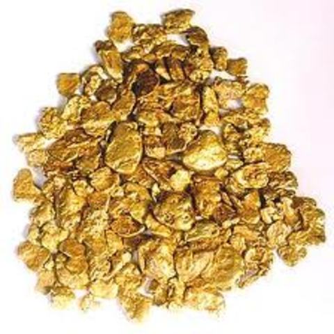 Gold Field Found In Gympie