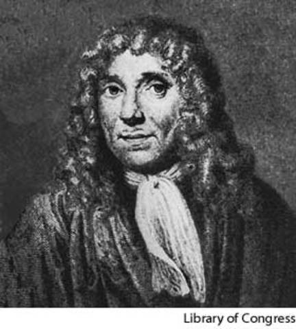 Anton van Leeuwenhoek (1673)
