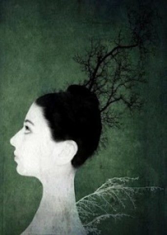 Elementos de la psicofisica