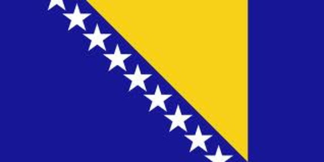 The Bosnia Crisis