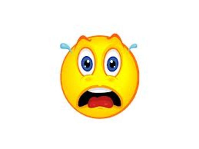 2nd formal Meeting in daily lesson (Friday)