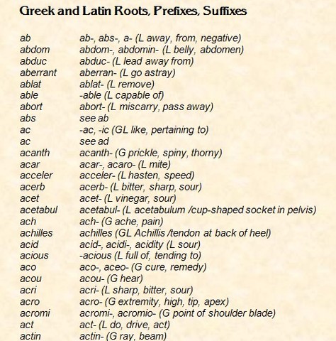Ifluence from Latin and Greek