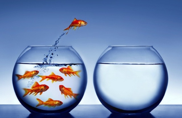 Desafios comunicacionais da Educação via internet